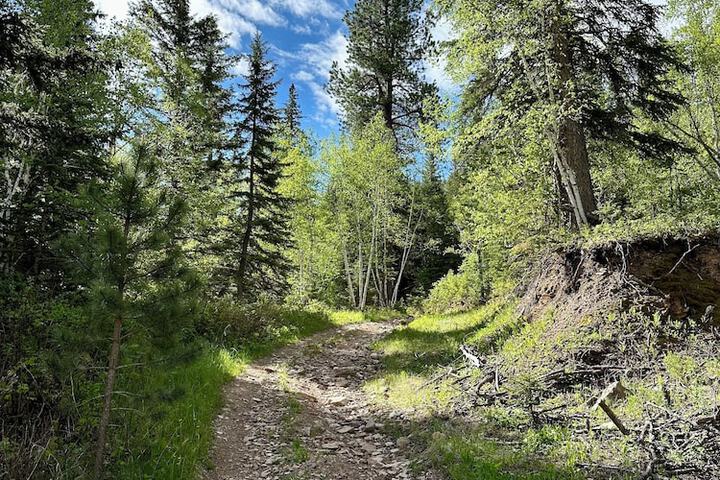 Whitetail Creek Resort