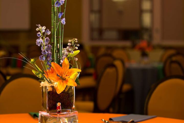 The Park Vista - a DoubleTree by Hilton Hotel - Gatlinburg