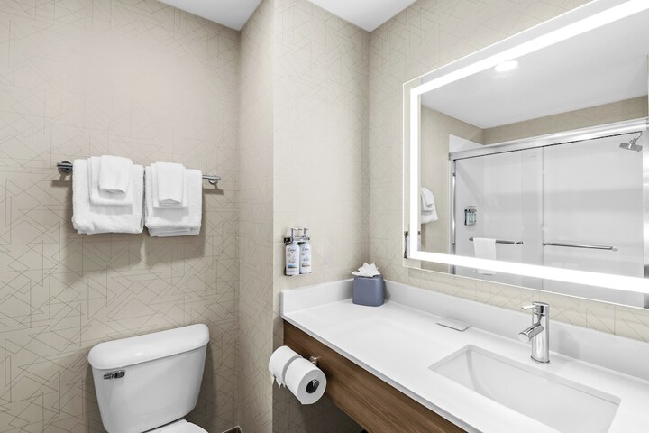 Holiday Inn Express Hotel & Suites Council Bluffs - Convention Center by IHG