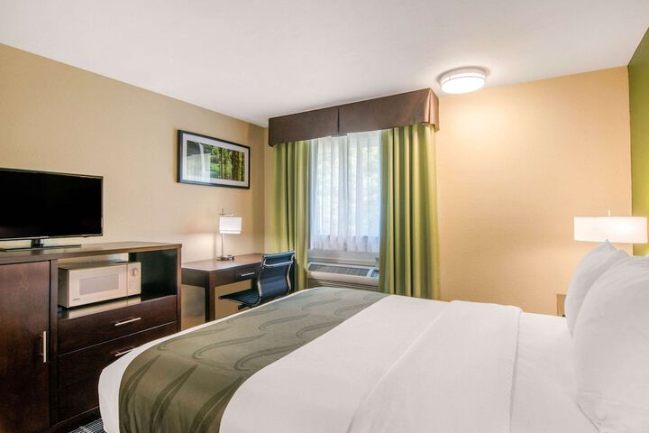 Room 12 of 42