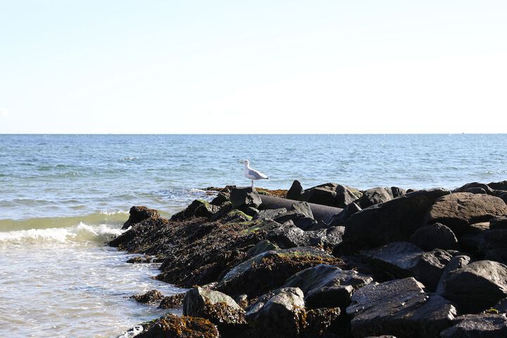Beach 336 of 468