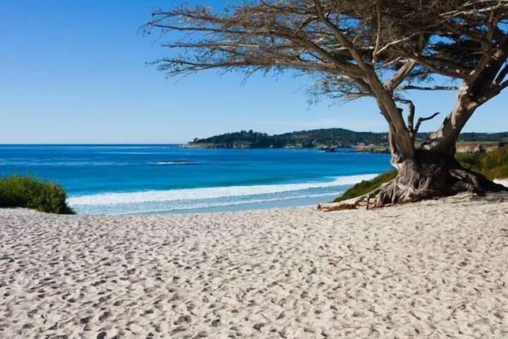 Beach 65 of 74