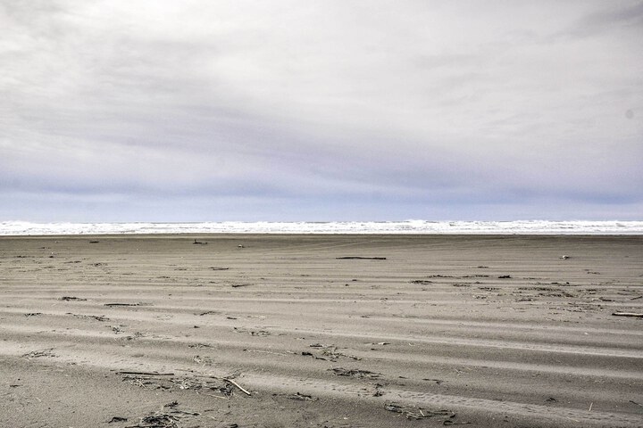 Coastal Washington Getaway: Walk to Beach!