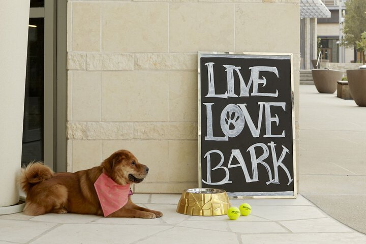 Pet Friendly 82 of 83