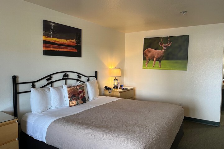 Antlers Inn