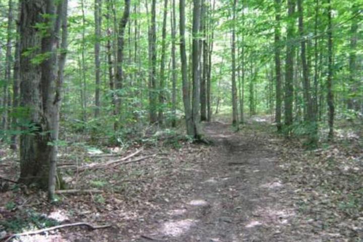 Black Mountain Recreational Area Vacation Rental