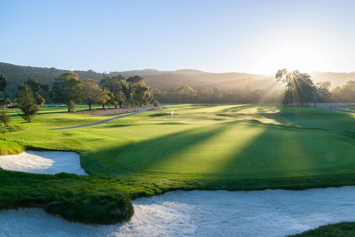 The Quail