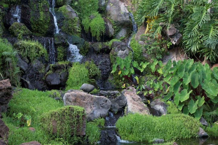 Four Seasons Resort Lanai