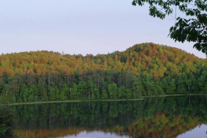 Black Mountain Recreational Area Vacation Rental