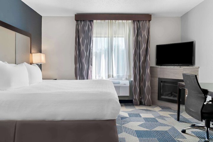 Best Western Plus Flint Airport Inn & Suites