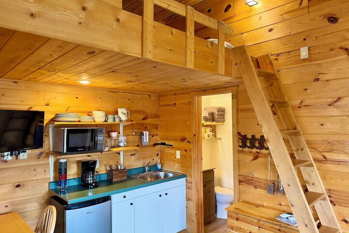 Mountain View Lodge & Cabins