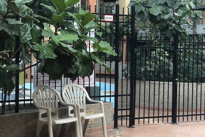 Pool 6 of 29
