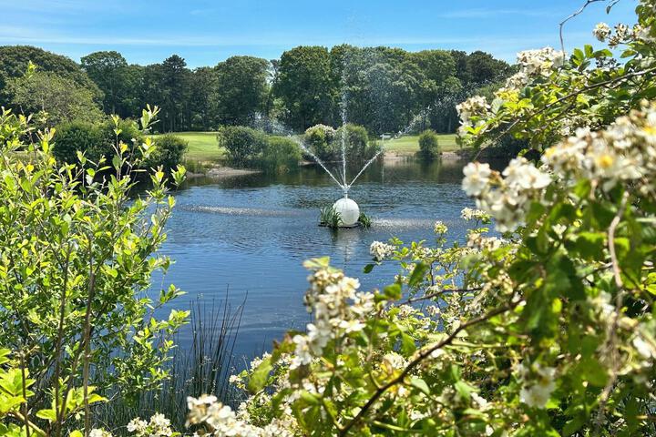 Cape Cod Irish Village