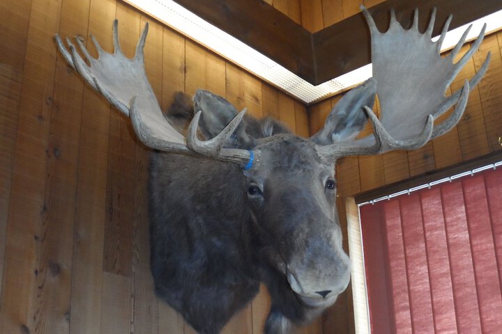 Bear Lodge Motel