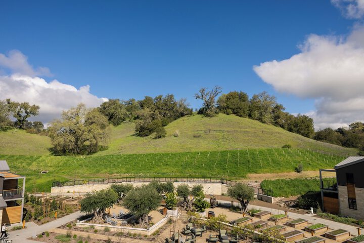 Appellation Healdsburg