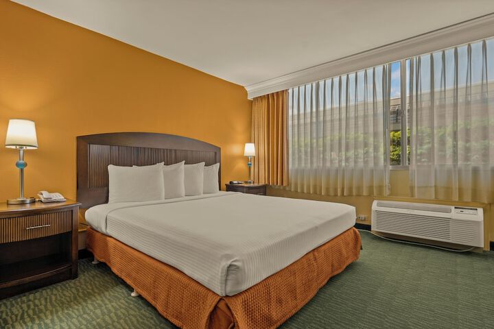 Room 13 of 23