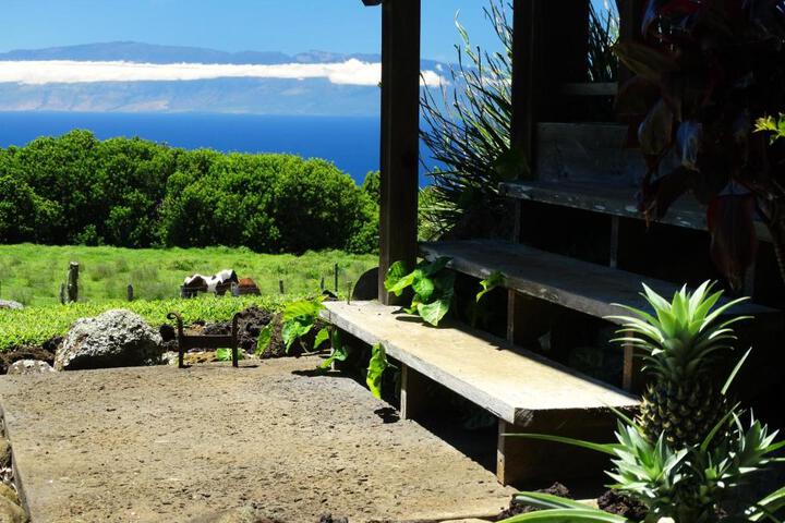 Kohala Lodge- Vacation Rental House