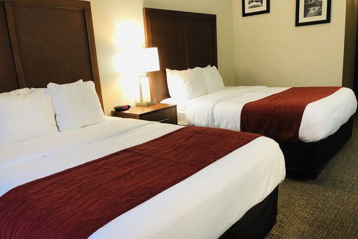 Room 19 of 51