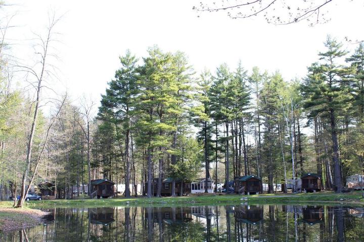 Alpine Lake Lakefront Cabin 5