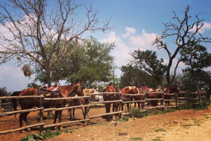 TWIN ELM GUEST RANCH
