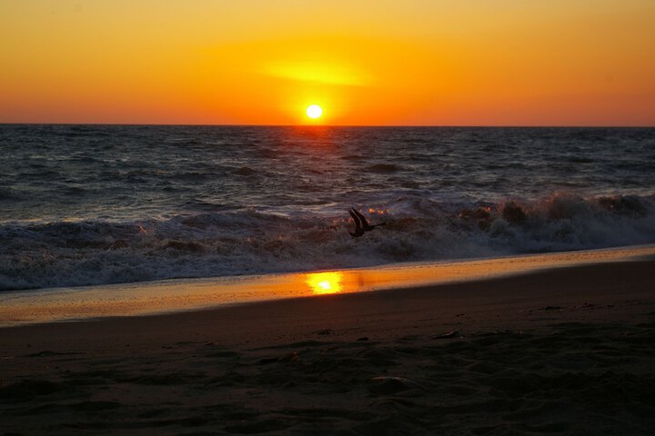 Beach 31 of 41