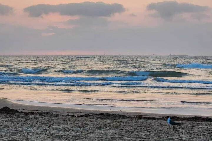 Holiday Inn Resort South Padre Island - Beach Front by IHG
