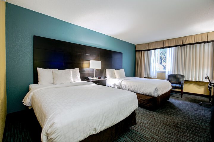 Room 29 of 55
