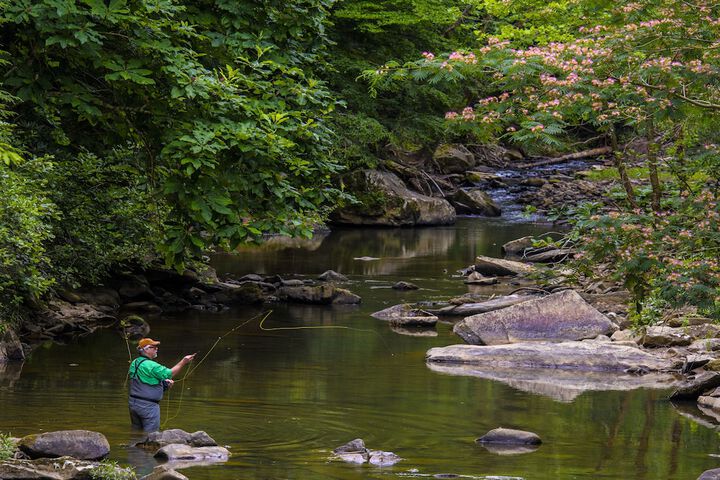 Pine Mountain State Resort Park