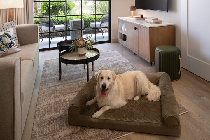 Pet Friendly 73 of 81