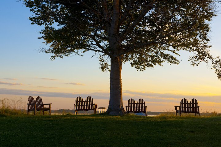 Hyatt Regency Chesapeake Bay