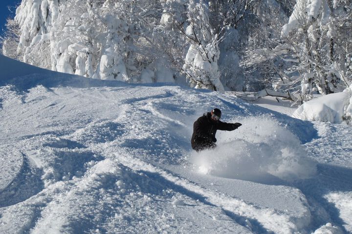 Snowshoe Mountain Resort Leatherbark