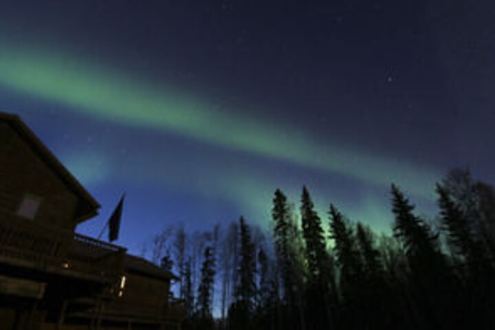 Fairbanks Moose Manor B & B