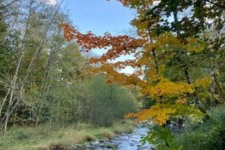 Bright Updated Waterfront Cottage Pets Welcome!