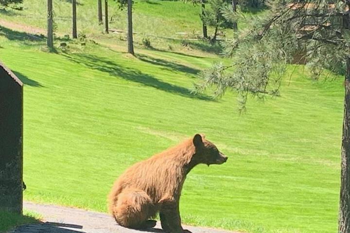 Silvertip Trailhead 2