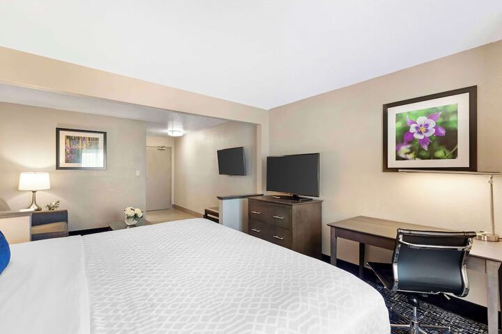 Room 15 of 34