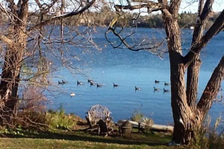 Property Grounds 10 of 14