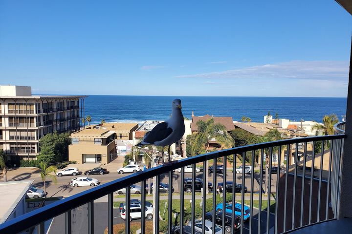 Inn by The Sea La Jolla