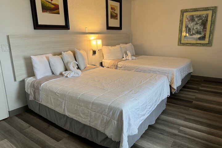Room 35 of 65