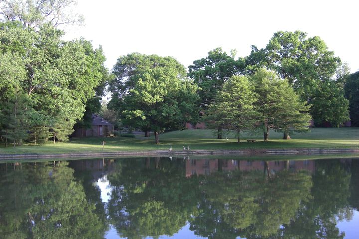 Property Grounds 41 of 51