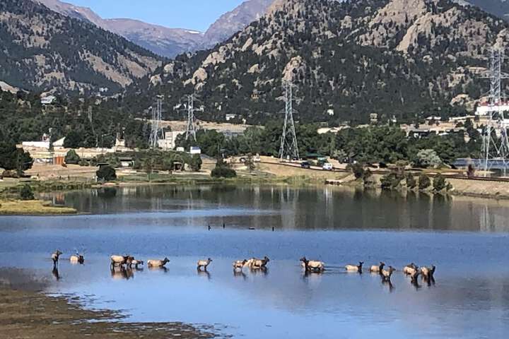 20 of 164