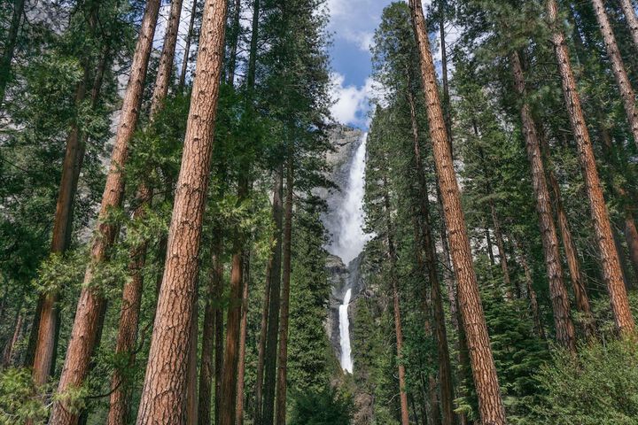Holiday Inn Express & Suites Oakhurst - Yosemite Park Area by IHG