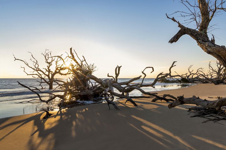 Holiday Inn Resort Jekyll Island by IHG