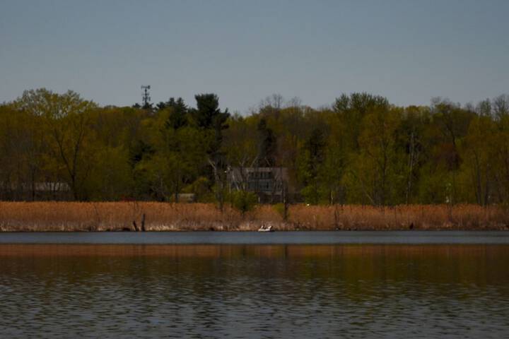 Property Grounds 59 of 61