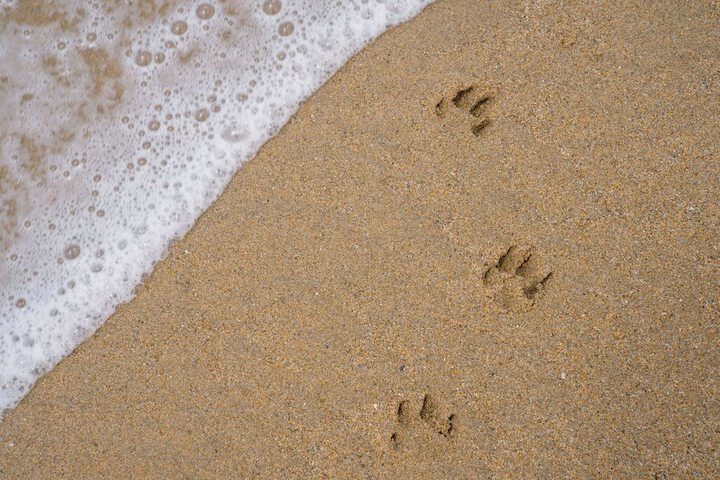 Beach 113 of 127