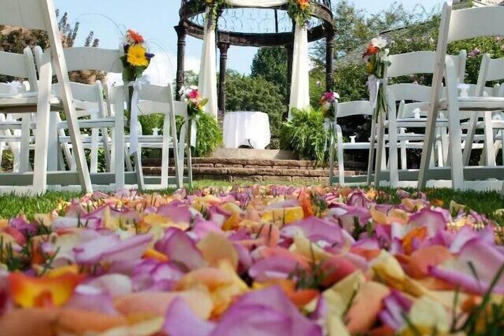 Wedding/Banquet 96 of 100