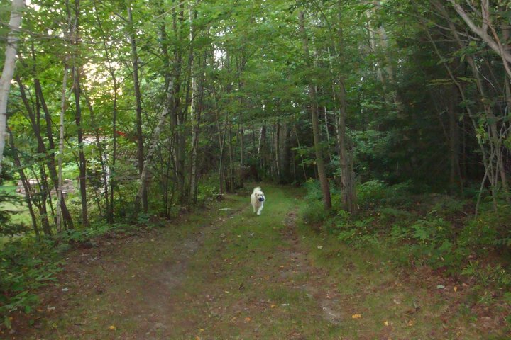 Property Grounds 22 of 26