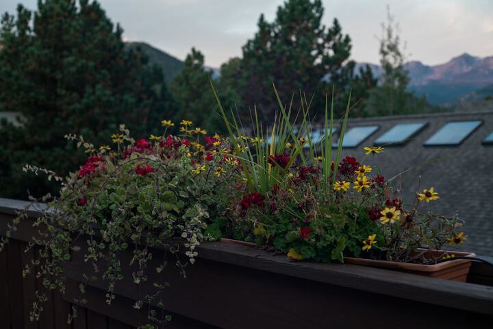 Terrace/Patio 181 of 202