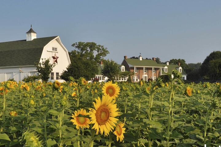 Inn at Huntingfield Creek