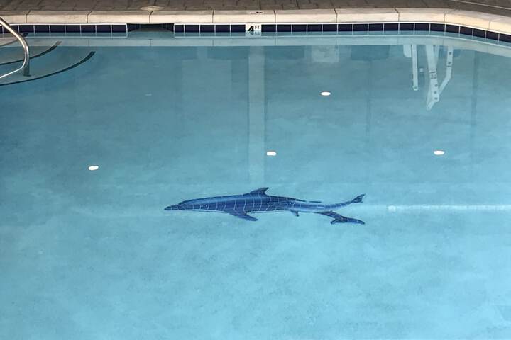 Pool 3 of 53