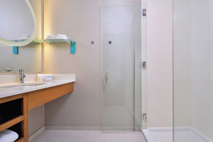 SpringHill Suites by Marriott Ashburn Dulles North